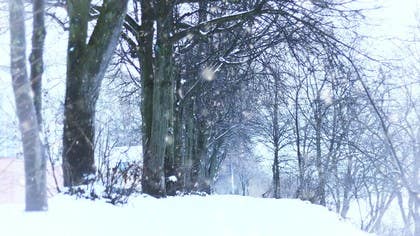 Beat the Winter Blues